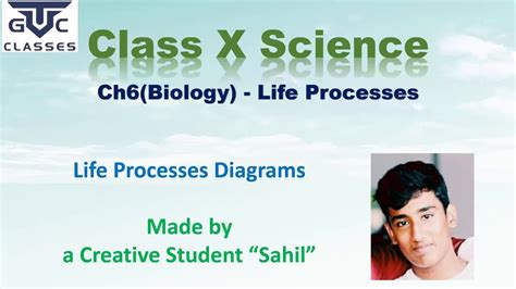 Cell organelle is a specialized entity present inside a particular type of cell that performs a specific function. GTC-Class 10-Science (Ch6-Biology) - Life Processes ...