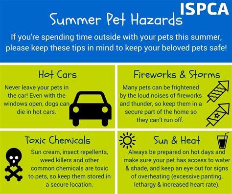 To help keep your dog safe and cool during the summer, here is the lowdown on signs that he's overheating and how to prevent it: Warning: Protect your pet from the scorching temperatures ...