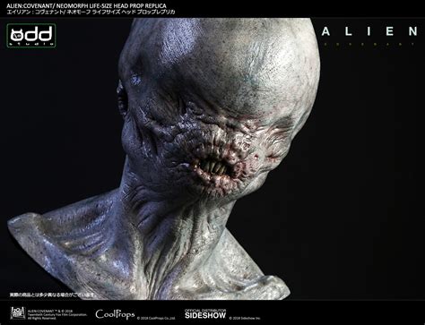 Predator galaxy can exclusively confirm that neomorph is actually the name that the crew working on alien: ALIEN:COVENANT/ NEOMORPH LIFE-SIZE HEAD PROP REPLICA ...