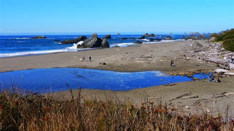 Maybe you would like to learn more about one of these? Harris Beach State Park near Brookings, Oregon | Harris ...