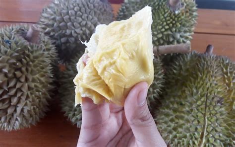 Kali ini fimela akan berbagi resep membuat camilan enak yaitu getuk goreng. 20+ Gambar Durian Isi Singkong - Richa Gambar