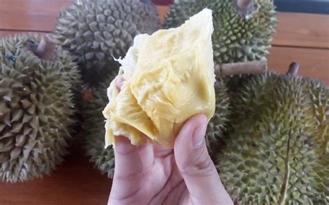 Getuk adalah jenis olahan singkong. 20+ Gambar Durian Isi Singkong - Richa Gambar