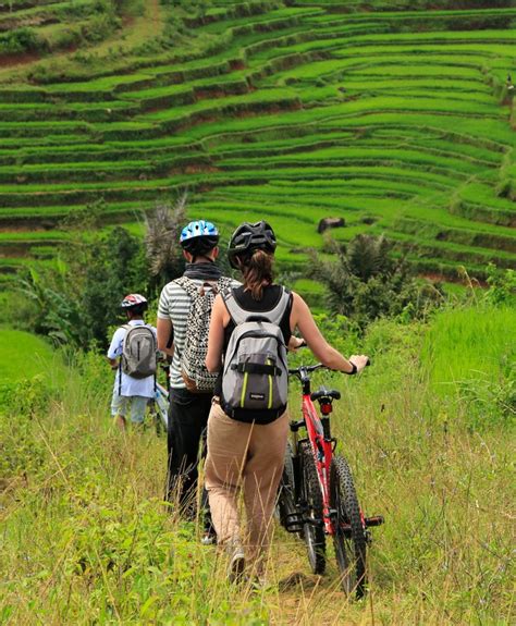 A few of the draw. Indonesia bicycle tours | Bike tours and cycling holidays ...