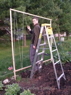 Learn to make a beautiful trellis for your garden or landscape with this free downloadable plan. Do It Yourself Garden Trellis Designs in 2020 | Bean trellis, Pole bean trellis, Garden trellis ...