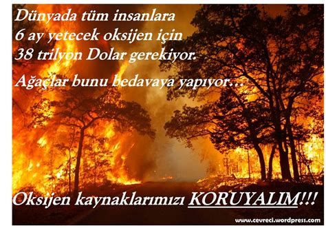Her zevke hitap eden mükemmel dekor fikri oluşturacak kanvas tabloları üst düzey işçilik, kusursuz kalite imkanıyla sizlere sunuyoruz. Orman yangınlarını konu alan poster çalışması nasıl yapılır?