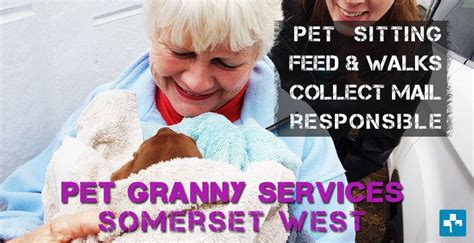 Unikatowe, personalizowane i ręcznie robione udało ci się przewinąć na sam dół, aby dowiedzieć się więcej o house pet animal? Pet Granny service | Pet Health CarePet Sitter in Somerset ...