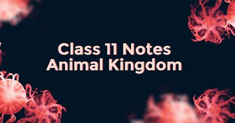 Check spelling or type a new query. Animal Kingdom Class 11 Notes | Vidyakul