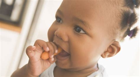 Cloud neck can be adjusted and adapted to different age baby product have two suction cups, it can be firmly attached to the top of the container and not easy to fall off. Stage 2 Weaning | Baby | SMA Baby