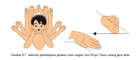 Gerakan recovery pada lengan adalah gerakan yang dimulai dari akhir gerakan mendayung dan berakhir ketika akan mendayung. Aktivitas Air (Akuatik) - Belajar Renang Gaya Dada | Naga Niel