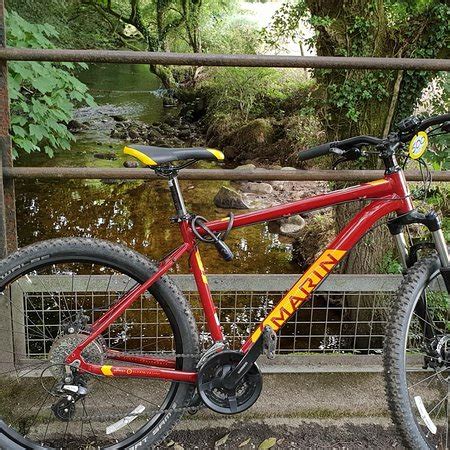 From here, the trail follows the sandy shores of the camel estuary with views of creeks, sandbanks avoid this hassle by hiring bikes in bodmin or from one of the many bike shops on the trail. Camel Trail Cycle Hire (Wadebridge) - 2019 All You Need to ...