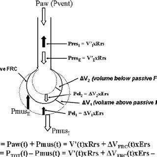 Learn the basics of ventilator waveforms, how they're interpreted, and how you can use this information when caring for your ventilator waveforms: (PDF) Bedside waveforms interpretation as a tool to ...