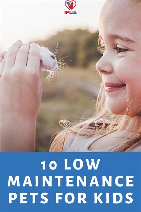 We all love our pets and now. The best low maintenance pets for kids. Wondering what ...