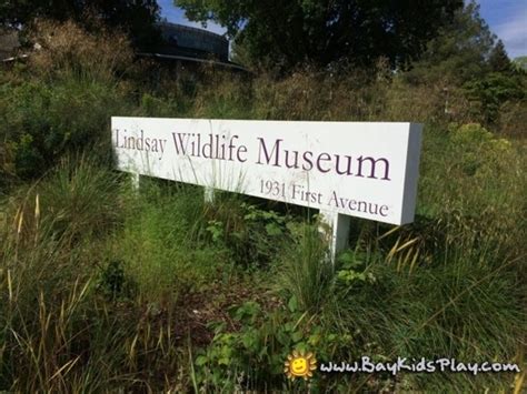 Check spelling or type a new query. Lindsay Wildlife Experience - Walnut Creek, CA - Kid ...