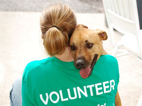 Austin dog rescue's mission is to end the cycle of homeless animals by saving dogs from central texas shelters that have no hope of a better life, encouraging our community to spay and neuter their pets, and providing education and resources to help pets live a long and healthy life. Employment & Volunteer Opportunities — Little Shelter ...