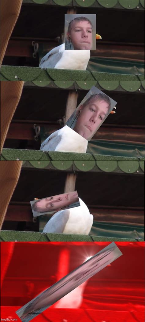 Add your own captions to a 'yoda' blank meme. Inhaling Seagull Meme - Imgflip