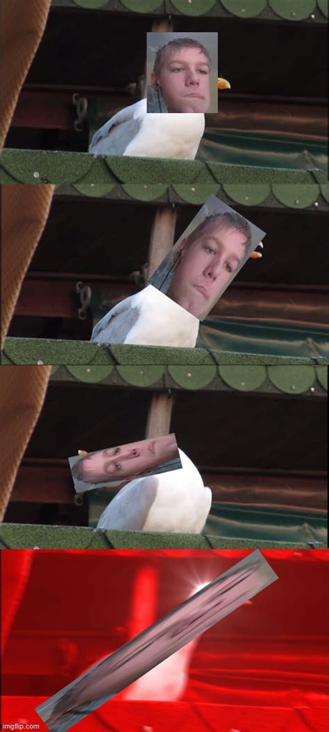 Check spelling or type a new query. Inhaling Seagull Meme - Imgflip