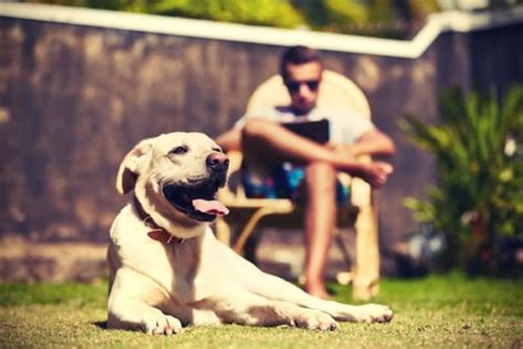 Moinsen, wir haben das problem, dass der hund unserer nachbarn öfters seine tretminen in unserem garten lässt. Hund im Gemeinschaftsgarten: Rechte und Pflichten ...