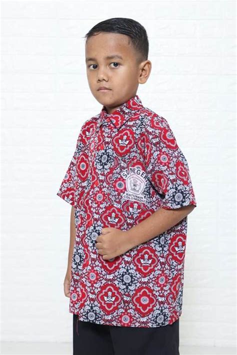 Jual seragam tk toko baju seragam tk paud dan tpa. Baju Batik Anak Murah Cocok untuk Seragam - Batik Dlidir