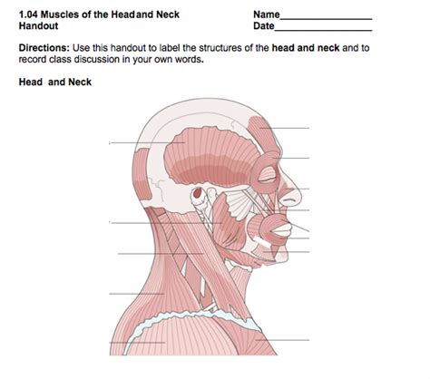 You can also find smooth muscle in the walls of passageways, including arteries and veins of de cardiovascular system. Health Science I