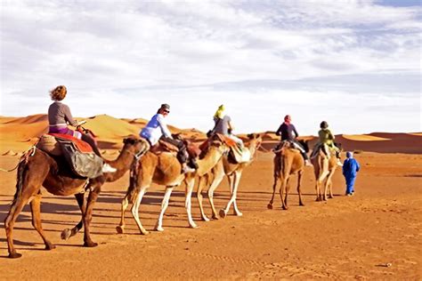 Explore the beauty of uae's desert as it was a meant to be seen on the back of a camel! Mesmerizing Experience of Camel Ride In Dubai