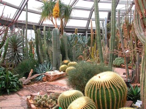 Christmas garden im botanischen garten berlin termin 2021 noch nicht bekannt. botanischer garten berlin