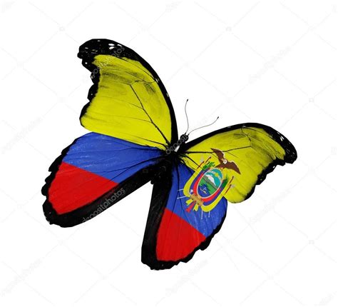 The flags of ecuador, colombia, and venezuela, can all trace their roots to the flag of the nation of as of 2006, the ecuadoran flag still shares some similarity with the flags of colombia and venezuela. Pin on Ecuador