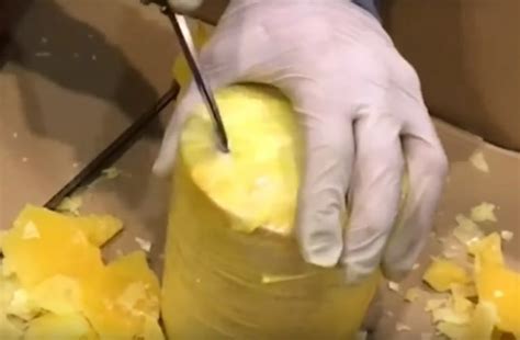 Pozri si klip seized xdddddd od vysielateľa tebtv. Police have seized 745kg of Cocaine hidden in Pineapples ...
