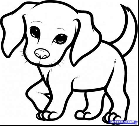 Honden die aan het spelen zijn, honden in bad, honden die jarig. 21+ Pretty Image of Puppy Coloring Pages | adult coloring ...