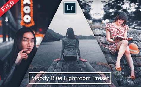 Lightroom is one if the most popular editing software used to bring any picture back to life. Download Moody Matt Blue Lightroom Preset for Free 2020 ...