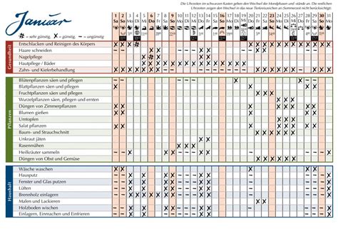 Sind ihre haare fein und kraftlos, so kann es sich lohnen, den besuch beim friseur so zu planen, dass der termin genau auf neumond fällt. Mondkalender 2011 | webQoo