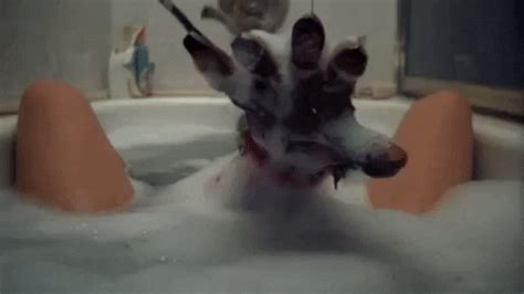 Перевод контекст bathtub c английский на русский от reverso context: Nightmare On Elm Street GIFs - Find & Share on GIPHY