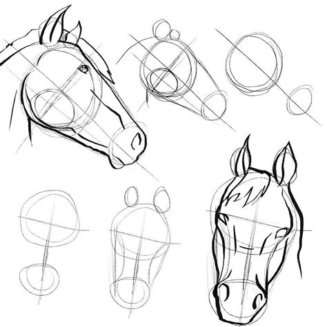 Let's start by sketching an oval shape head with its two little ears. 15 Horse Drawings Step by Step Easy for Beginners 2020