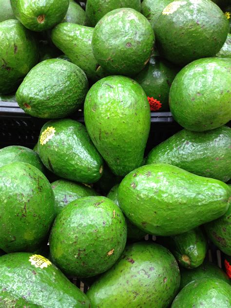 The first and only english language online news publication in the dominican republic. Tropical Avocados from the Dominican Republic create the ...