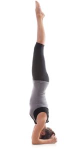Our yoga asana blog has everything you need to know about yoga asanas (poses). The Twelve Basic Yoga Poses | Body Mind Light