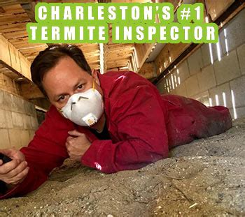 Clark's termite & pest control. Charleston SC Pest Control with Carolina Exterminating