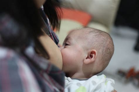 La lactancia materna proporciona una protección notablemente superior a la artificial frente a las 1.3.2. Una lactancia materna breve propicia el hígado graso en adolescentes | Ciencia y tecnología ...