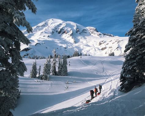 Rainier Denali Preparation & Winter Mountaineering - Alpine Ascents