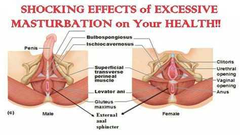 Will masturbating stop you from getting sick? SHOCKING EFFECTS of EXCESSIVE MASTURBATION on Your HEALTH ...