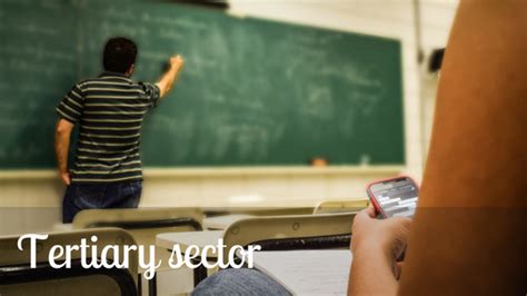 Check spelling or type a new query. Tertiary Economic Activity Definition : Economic Sectors ...