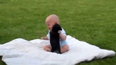 His video has now wowed people and prompted them to say how. Cute Baby, Puppy Playing | Funny Kids, Dogs | America's ...