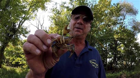 माथ्यु रिका, born 15 february 1946) is a french writer, photographer, translator and buddhist monk who resides at shechen tennyi dargyeling monastery in nepal. How To Rig and Fish Live Crawfish - YouTube