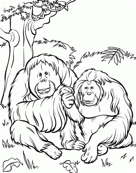 Coloring pages for toddlers, preschool and kindergarten. Free Printable Zoo Coloring Pages For Kids