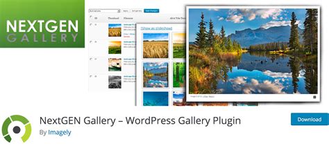 Display Your Images Beautifully with these Gallery Plugins for ...