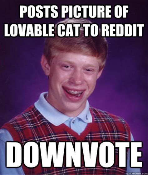 Most downvoted comment for two months. Posts picture of lovable cat to reddit Downvote - Bad Luck ...