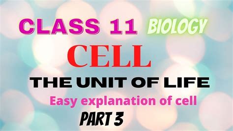 Their cells have many features in common but there are a few significant differences. Endomembrane system class 11 biology | Cell the unit of ...