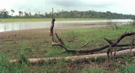 Instead of survivors he discovers a world of cannibalistic excess beyond his wildest imaginings and the footage creates chaos. The Movie Log: 22/06/2012: Cannibal Holocaust 1980