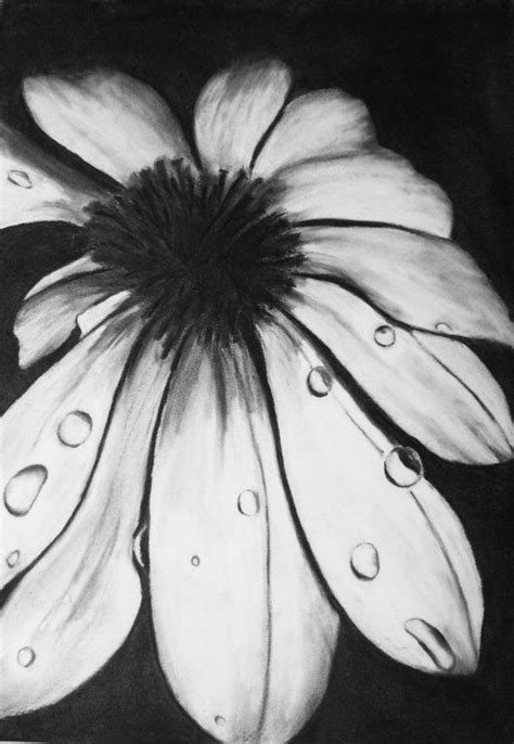 Shop with afterpay on eligible items. Original charcoal drawing black and white flower 12 by ...