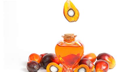 An overview of the oil palm industry in malaysia and its waste utilization through thermochemical conversion review of current palm oil mill effluent (pome) treatment methods. Malaysia considers banning "anti-palm oil" products from shops