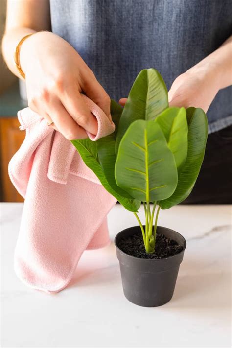 How to clean fake silk plants and trees? How to Clean Fake Plants, Step by Step with Pictures ...