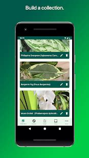 Maybe you would like to learn more about one of these? PlantSnap - Identify Plants, Flowers, Trees & More - Apps ...